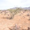 Sitio B4 - Proyecto Loteo el Olivo - Ovalle - Imagen 8