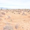 Sitio B4 - Proyecto Loteo el Olivo - Ovalle - Imagen 7