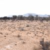 Sitio B4 - Proyecto Loteo el Olivo - Ovalle - Imagen 5