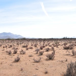 Sitio en Venta  B14 - Proyecto Loteo el Olivo - Ovalle