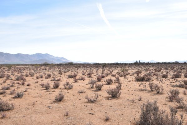 Sitio en Venta  B14 - Proyecto Loteo el Olivo - Ovalle