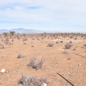 Sitio en Venta  B17 - Proyecto Loteo el Olivo - Ovalle