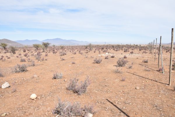 Sitio en Venta  B17 - Proyecto Loteo el Olivo - Ovalle
