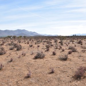 Sitio en Venta  B12 - Proyecto Loteo el Olivo - Ovalle