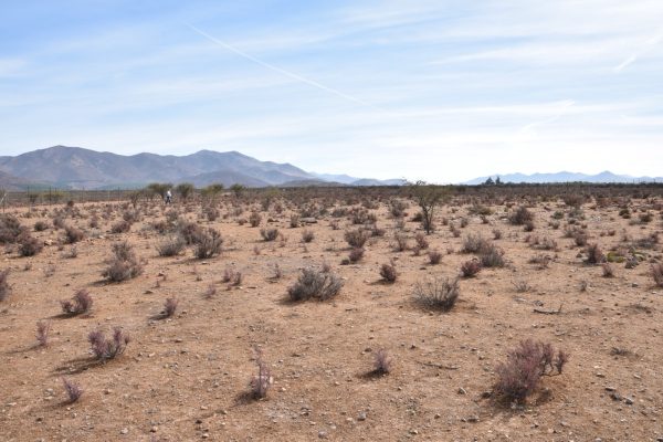 Sitio en Venta  B12 - Proyecto Loteo el Olivo - Ovalle