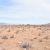 Sitio en Venta  B11 - Proyecto Loteo el Olivo - Ovalle - Imagen 4