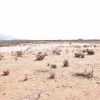 Sitio en Venta  B16 - Proyecto Loteo el Olivo - Ovalle - Imagen 11