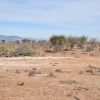 Sitio B10- Proyecto Loteo el Olivo - Ovalle - Imagen 6