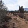 Sitio B6 - Proyecto Loteo el Olivo - Ovalle - Imagen 16