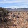 Sitio B6 - Proyecto Loteo el Olivo - Ovalle - Imagen 10