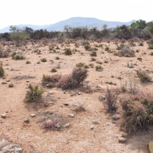 Sitio B5 - Proyecto Loteo el Olivo - Ovalle