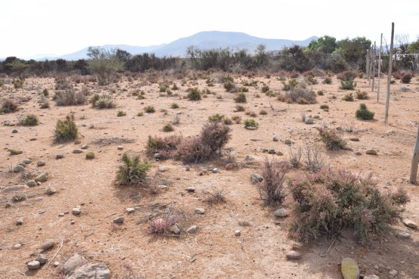 Sitio B5 - Proyecto Loteo el Olivo - Ovalle