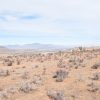 Sitio en Venta  B18 - Proyecto Loteo el Olivo - Ovalle - Imagen 5